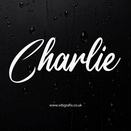 Vinyl Campervan Name Decal - Font 1