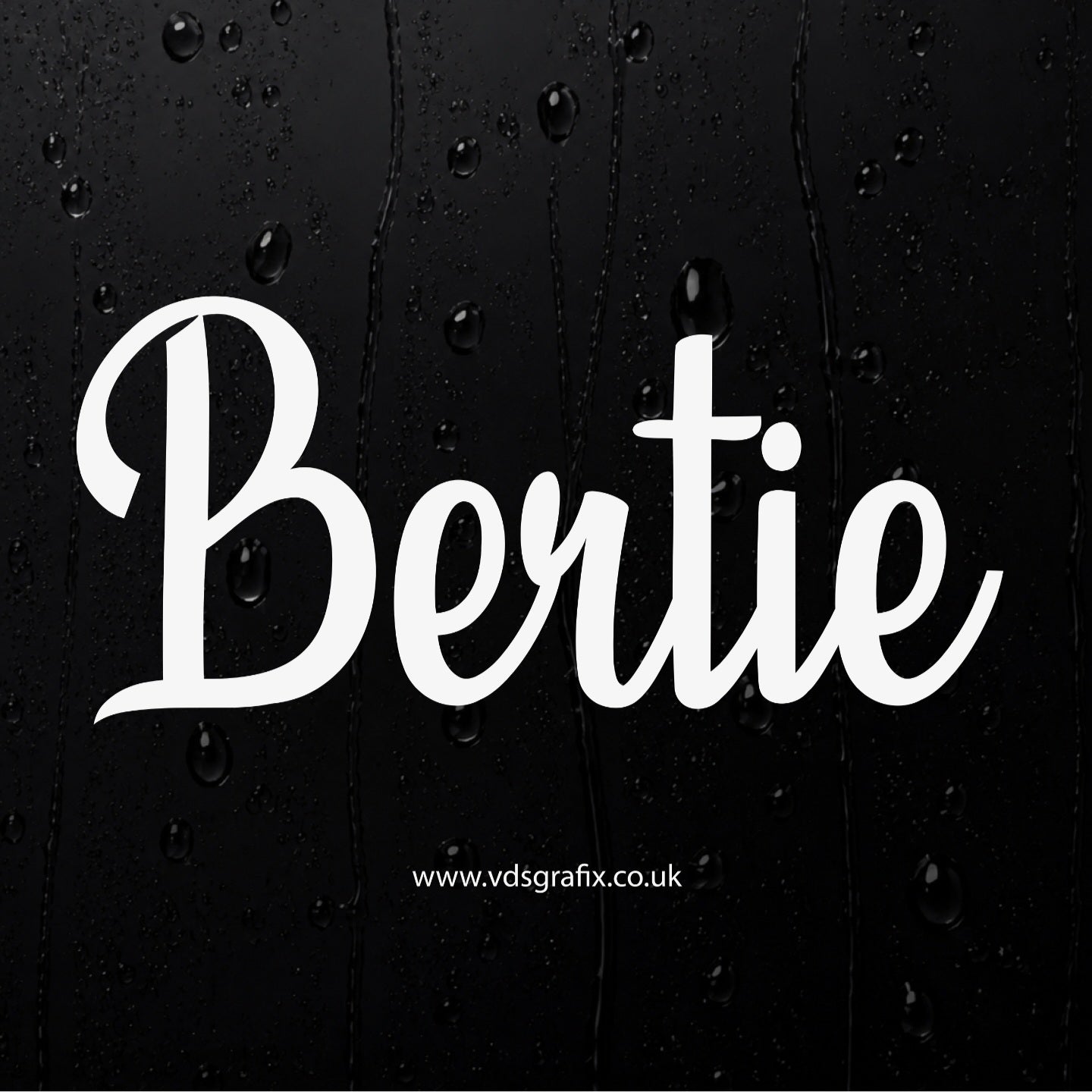 Vinyl Campervan Name Decal - Font 4