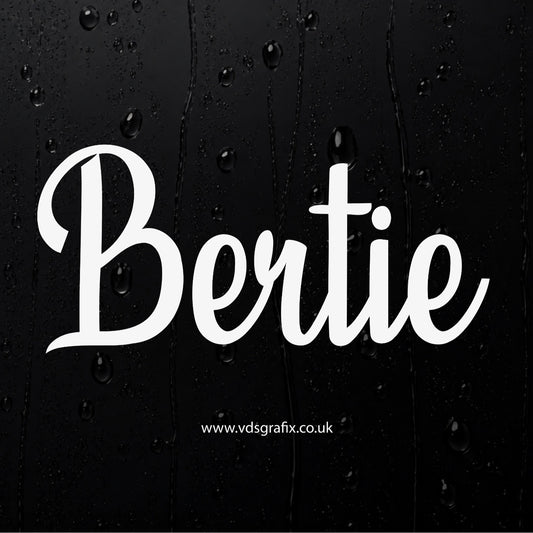 Vinyl Campervan Name Decal - Font 4