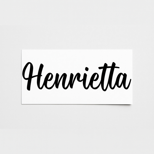 Vinyl Campervan Name Decal - Font 15